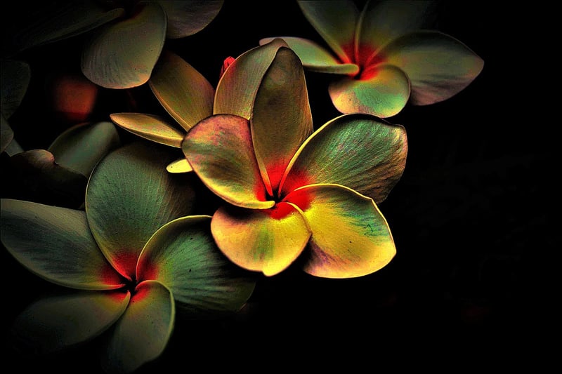 Well-being Image